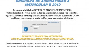 CONSULTA ASIGNATURAS B 2019