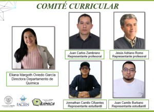 COMITÉ CURRICULAR 2026