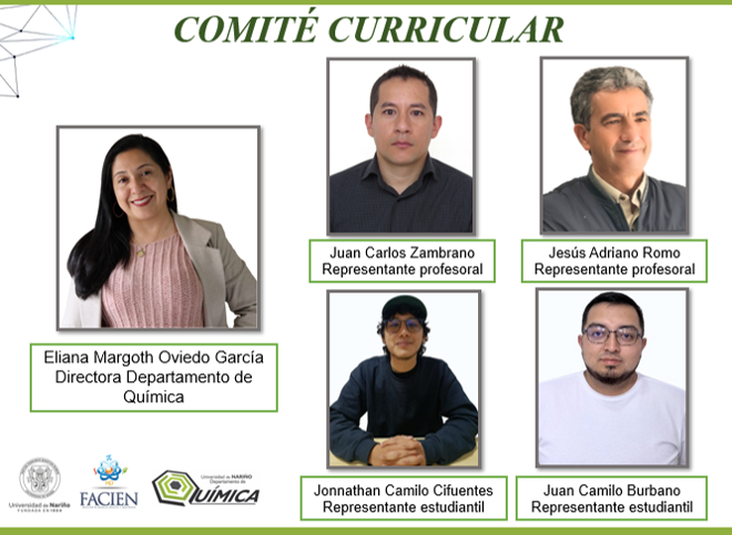 COMITÉ CURRICULAR 2026