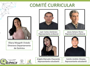 Comite Curricular