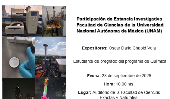 SOCIALIZACIÓN DARIO CHAPID