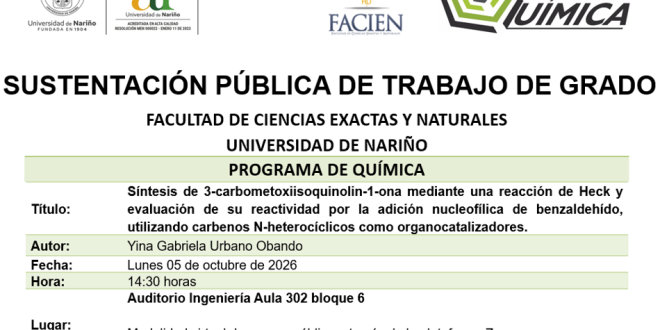 SUSTENTACION 7