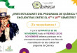 PARTICIPACIÓN ENCUESTA DE AUTOEVALUACIÓN PROGRAMA DE QUÍMICA