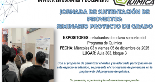 JORNADA DE SUSTENTACION DE PROYECTOS